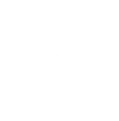 Shining Stars